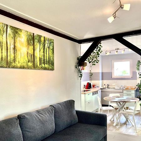 Seppala Charmant Appartement Colmar Eksteriør bilde