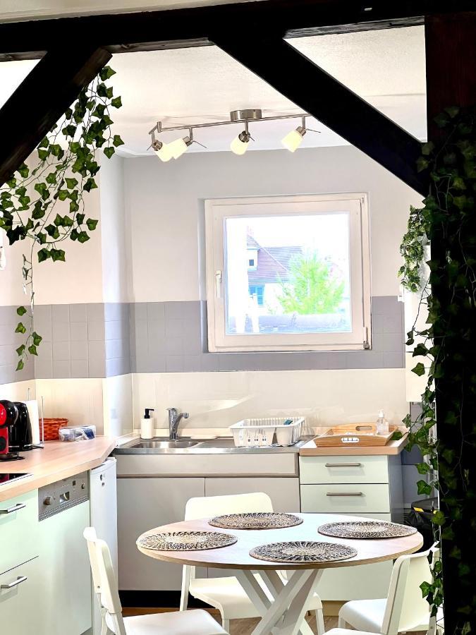 Seppala Charmant Appartement Colmar Eksteriør bilde
