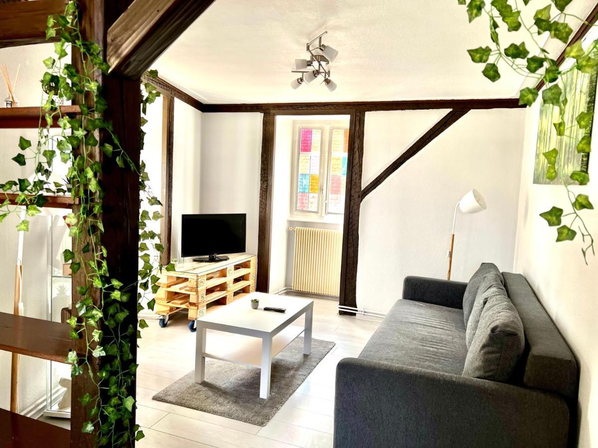 Seppala Charmant Appartement Colmar Eksteriør bilde