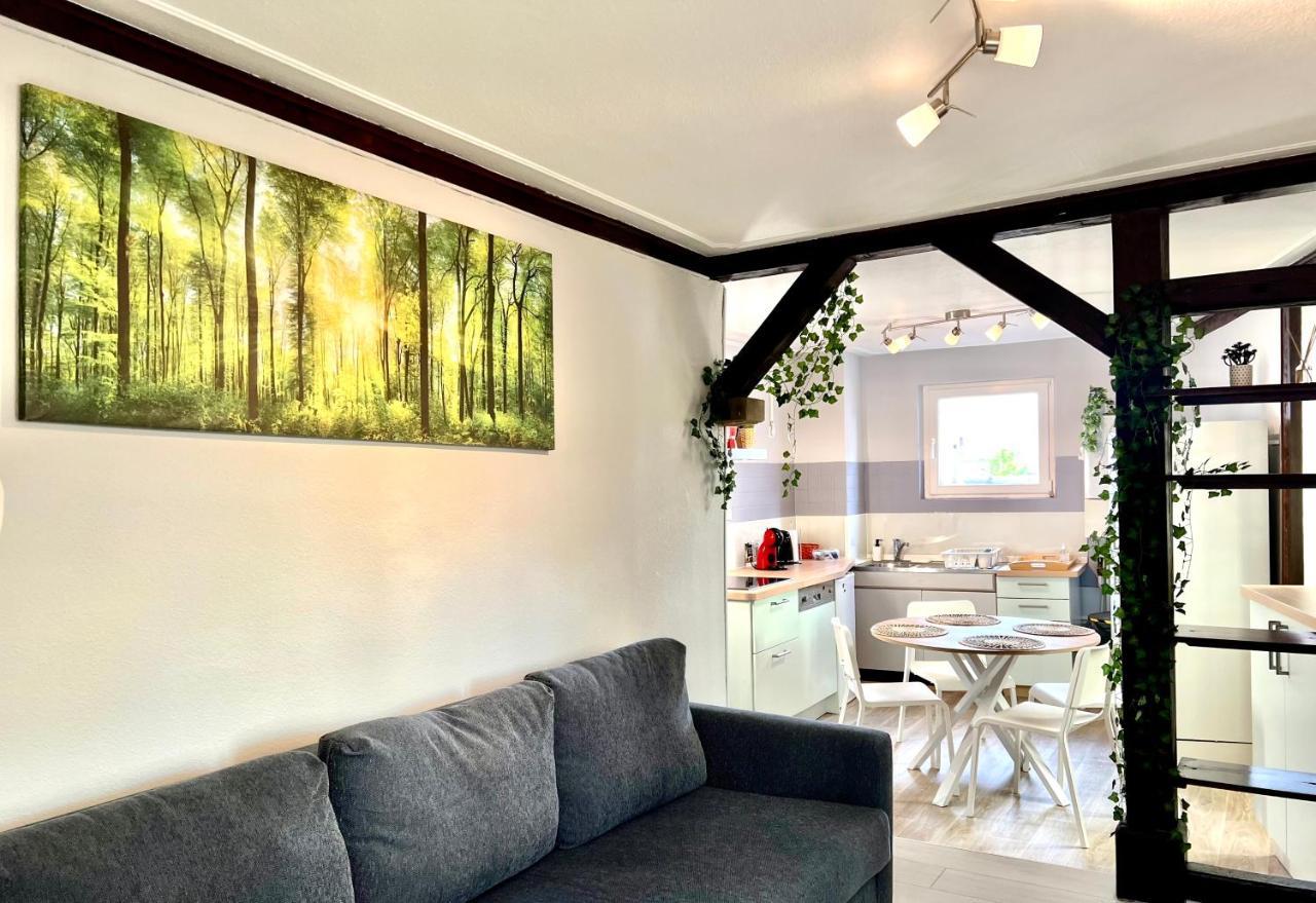 Seppala Charmant Appartement Colmar Eksteriør bilde